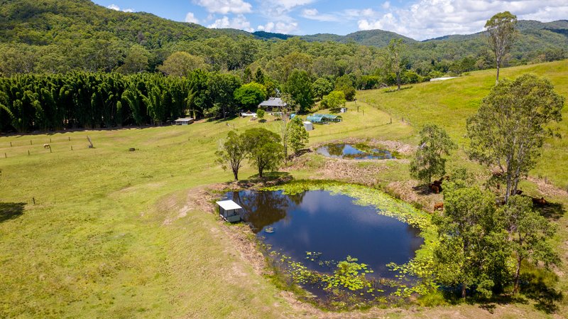 Photo - 592 Cedar Creek Road, Gheerulla QLD 4574 - Image 7