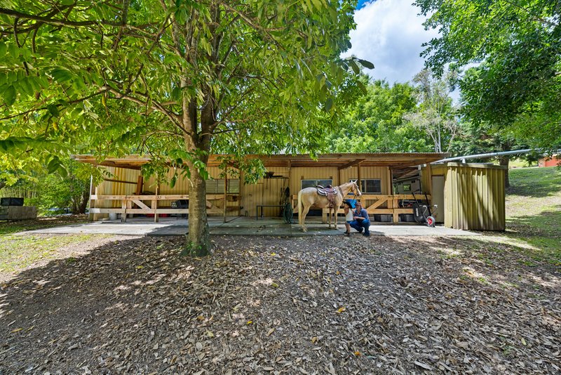 Photo - 592 Cedar Creek Road, Gheerulla QLD 4574 - Image 22