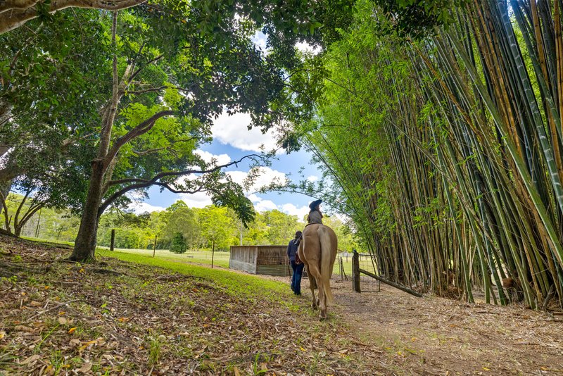 Photo - 592 Cedar Creek Road, Gheerulla QLD 4574 - Image 23
