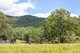 Photo - 592 Cedar Creek Road, Gheerulla QLD 4574 - Image 25