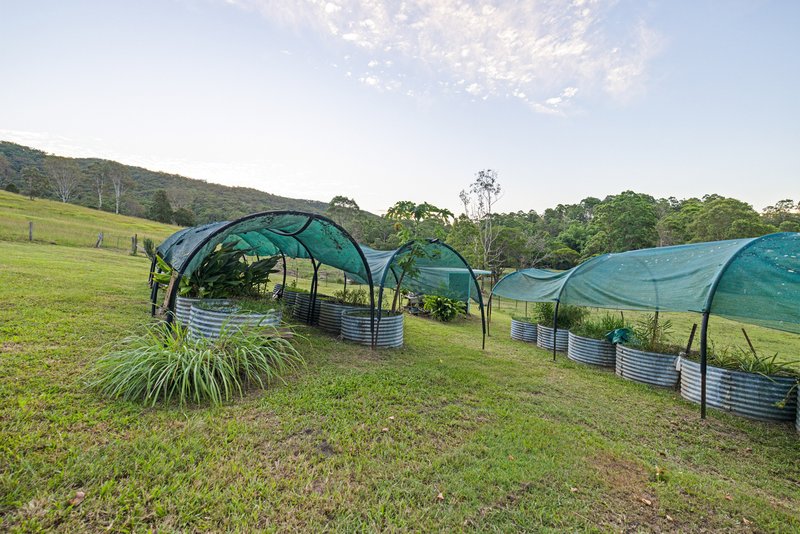Photo - 592 Cedar Creek Road, Gheerulla QLD 4574 - Image 26