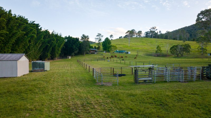 Photo - 592 Cedar Creek Road, Gheerulla QLD 4574 - Image 28