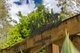 Photo - 592 Cedar Creek Road, Gheerulla QLD 4574 - Image 31