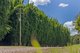 Photo - 592 Cedar Creek Road, Gheerulla QLD 4574 - Image 32