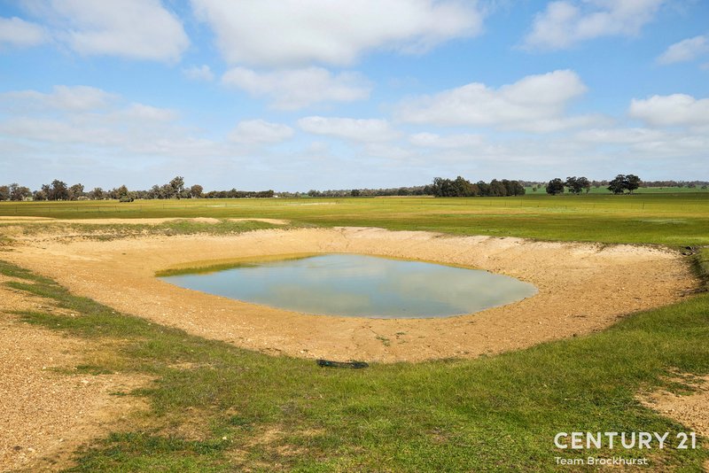 Photo - 592 Narrogin Valley Road, Narrogin Valley WA 6312 - Image 30