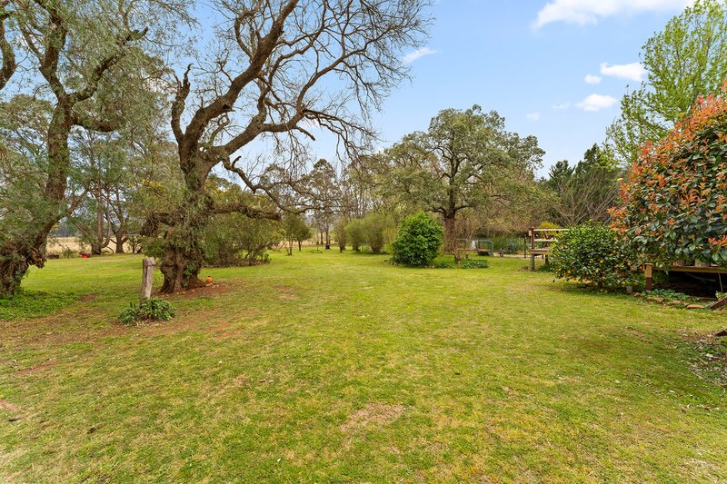 Photo - 5929 Araluen Road, Braidwood NSW 2622 - Image 32