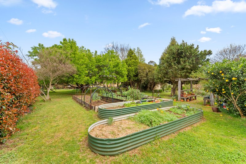 Photo - 5929 Araluen Road, Braidwood NSW 2622 - Image 33