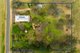 Photo - 5929 Main Rd Araluen , Braidwood NSW 2622 - Image 5