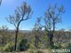 Photo - 593 Nanango Brooklands Road, Nanango QLD 4615 - Image 32