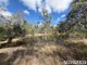 Photo - 593 Nanango Brooklands Road, Nanango QLD 4615 - Image 33