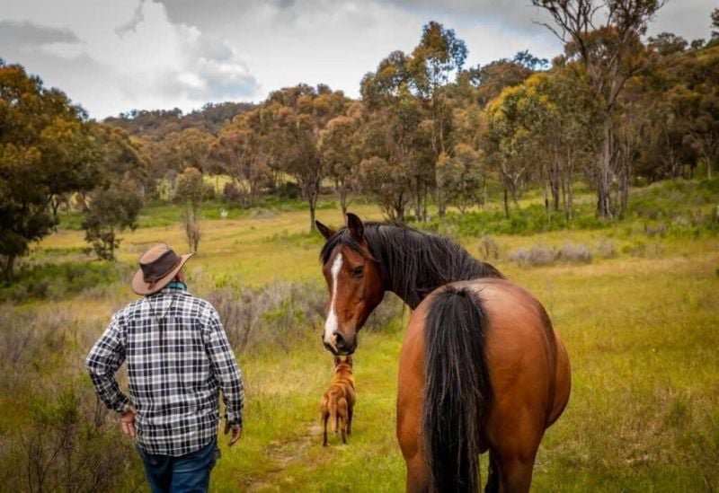 Photo - 594 Pyramul Road, Windeyer NSW 2850 - Image 10