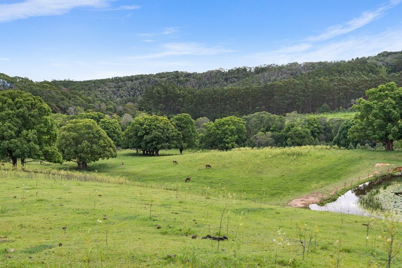 Photo - 595 Black Mountain Road, Black Mountain QLD 4563 - Image 27