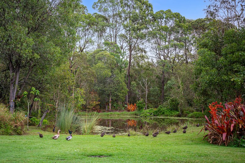 Photo - 595 Grieve Road, Rochedale QLD 4123 - Image 30