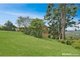 Photo - 595 Mountain View Road, Maleny QLD 4552 - Image 19