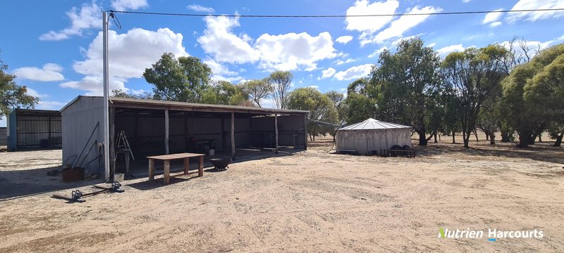 Photo - 596 Coben Soak Road, Beaufort River WA 6394 - Image 12