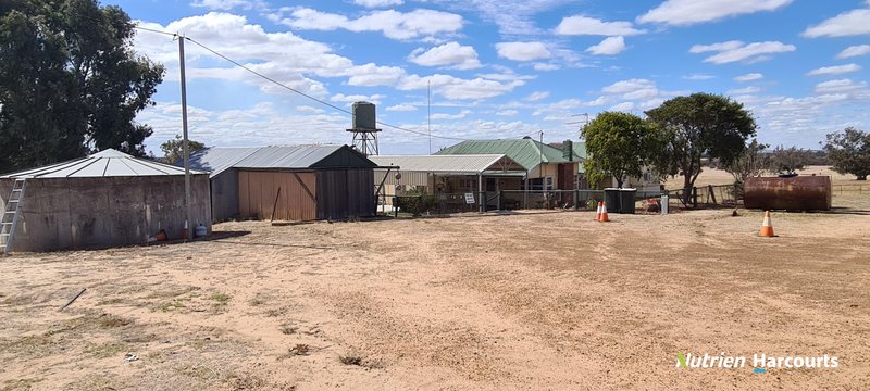 Photo - 596 Coben Soak Road, Beaufort River WA 6394 - Image 15