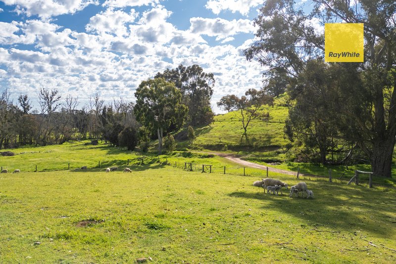 Photo - 5965 Vasse Highway, Nannup WA 6275 - Image 7