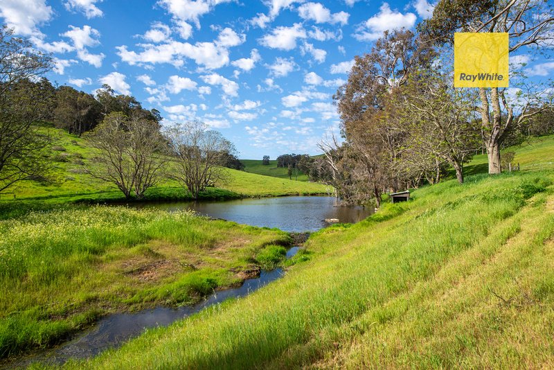 Photo - 5965 Vasse Highway, Nannup WA 6275 - Image 9