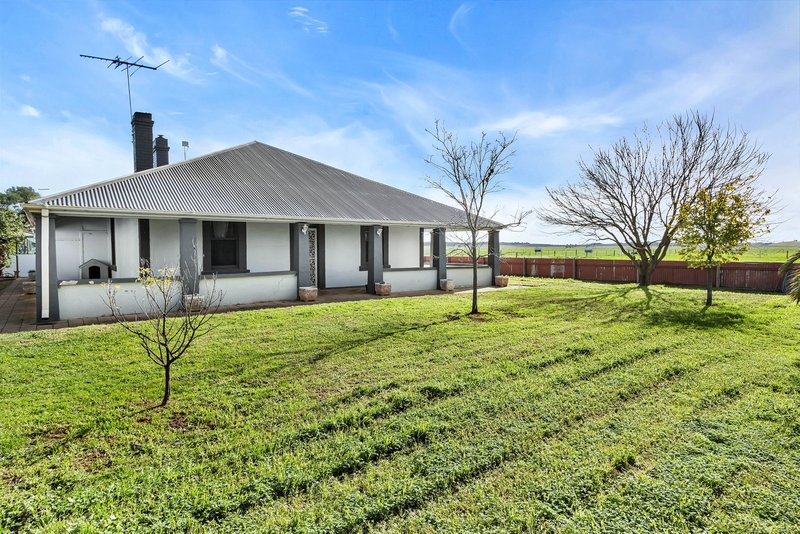 Photo - 597 Aunger Road, Reeves Plains SA 5502 - Image 3
