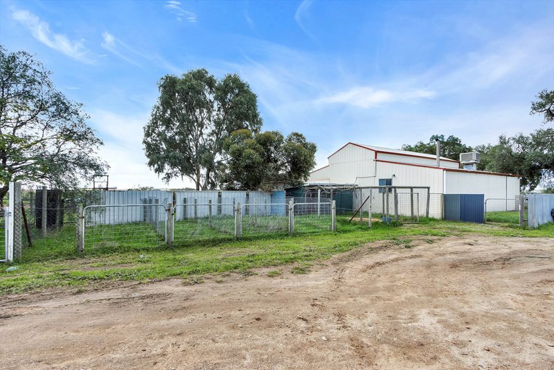 Photo - 597 Aunger Road, Reeves Plains SA 5502 - Image 25