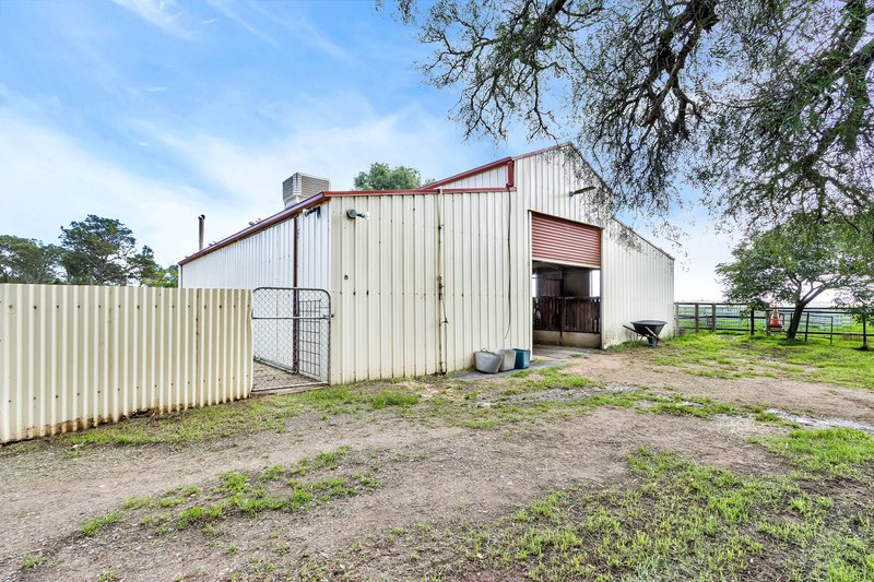 Photo - 597 Aunger Road, Reeves Plains SA 5502 - Image 26