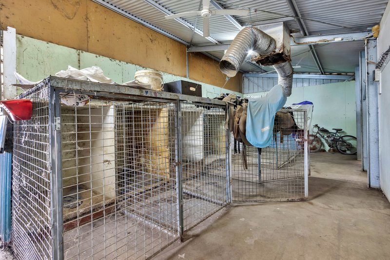 Photo - 597 Aunger Road, Reeves Plains SA 5502 - Image 27