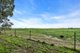 Photo - 597 Aunger Road, Reeves Plains SA 5502 - Image 31