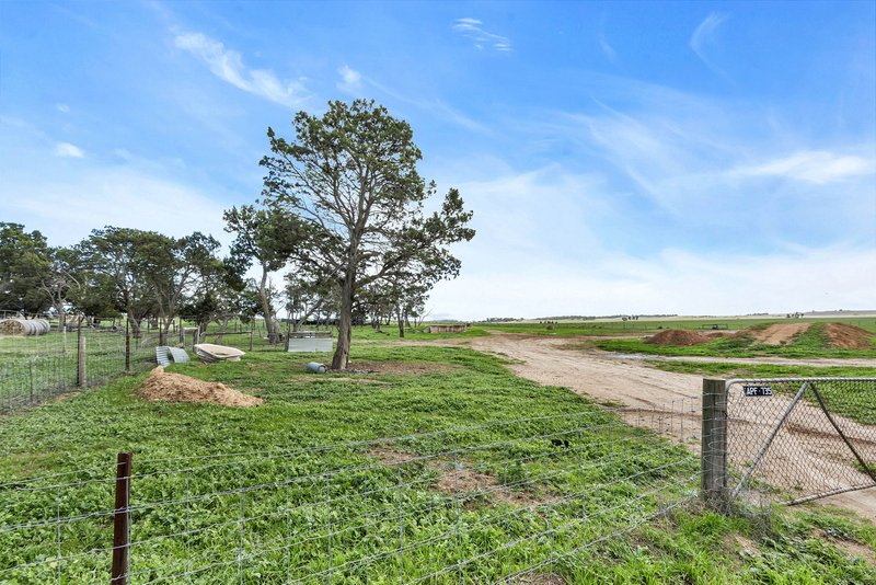 Photo - 597 Aunger Road, Reeves Plains SA 5502 - Image 33