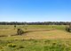 Photo - 598 Gloucester Road, Killawarra NSW 2429 - Image 20