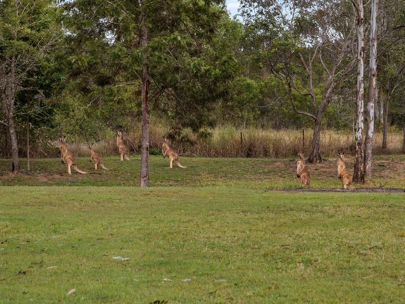 Photo - 599 Brisbane Valley Highway, Wanora QLD 4306 - Image 18
