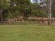 Photo - 599 Brisbane Valley Highway, Wanora QLD 4306 - Image 18
