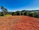 Photo - 5993 Tweed Valley Way, Mooball NSW 2483 - Image 11