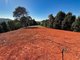 Photo - 5993 Tweed Valley Way, Mooball NSW 2483 - Image 12