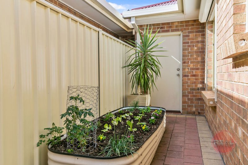 Photo - 5a Davidson Avenue, Park Holme SA 5043 - Image 20