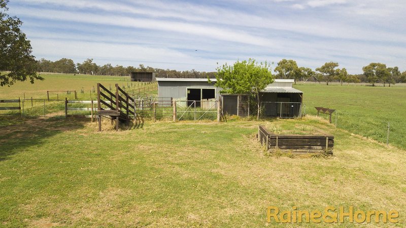 Photo - 5R Benelong Road, Dubbo NSW 2830 - Image 16