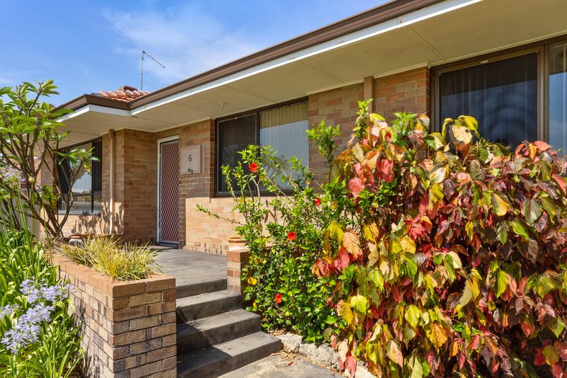 Photo - 6 Aberle Street, Hamilton Hill WA 6163 - Image 11