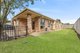 Photo - 6 Adonis Court, Rothwell QLD 4022 - Image 18