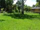 Photo - 6 Alkira Street, Macleay Island QLD 4184 - Image 4