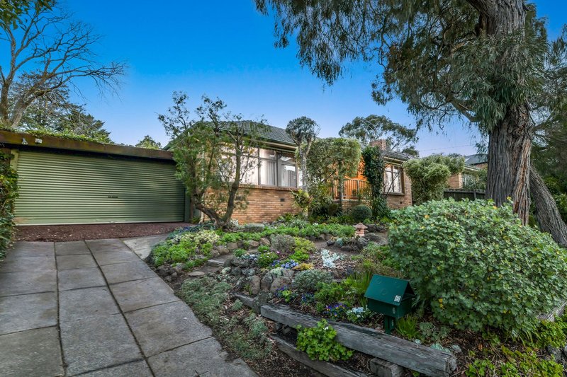 Photo - 6 Anthony Drive, Mount Waverley VIC 3149 - Image 2