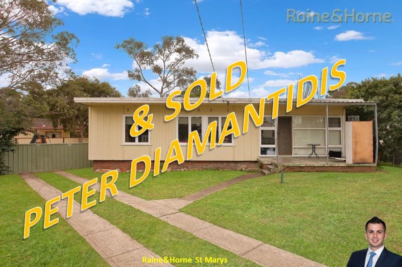 6 Antill Place, Blackett NSW 2770