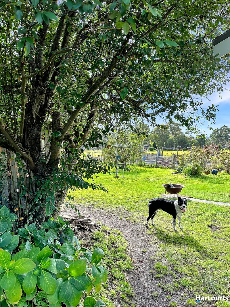 Photo - 6 Argonaut Road, St Helens TAS 7216 - Image 27