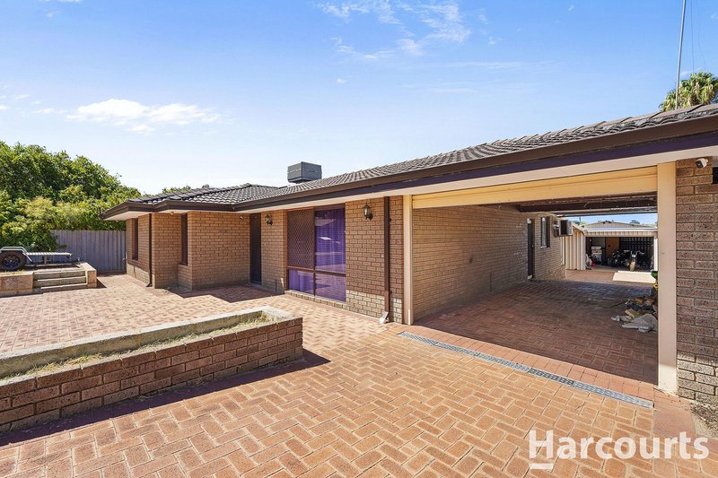 Photo - 6 Armata Walk, Mirrabooka WA 6061 - Image 3