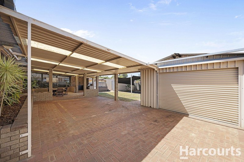 Photo - 6 Armata Walk, Mirrabooka WA 6061 - Image 4