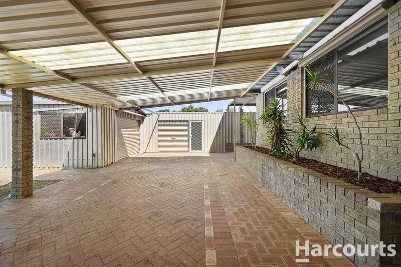 Photo - 6 Armata Walk, Mirrabooka WA 6061 - Image 11