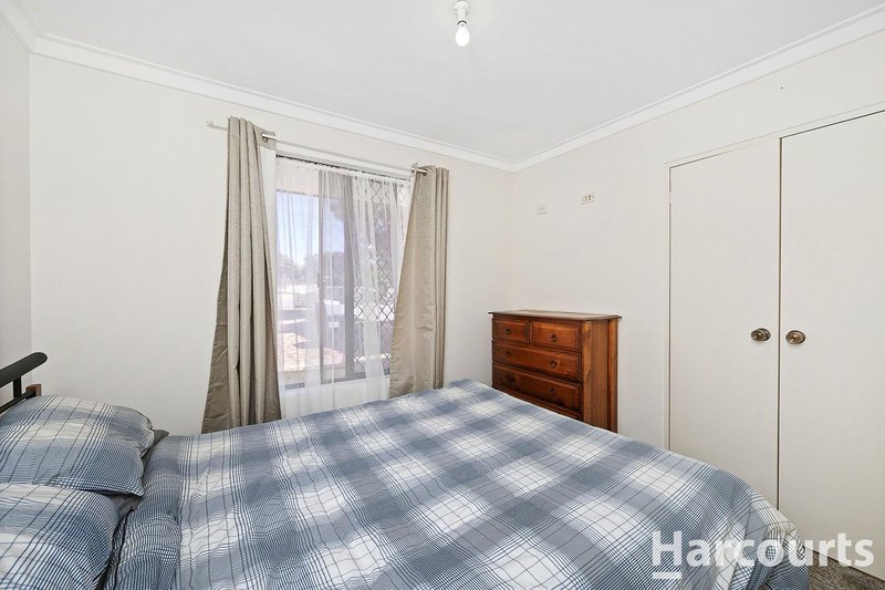 Photo - 6 Armata Walk, Mirrabooka WA 6061 - Image 29