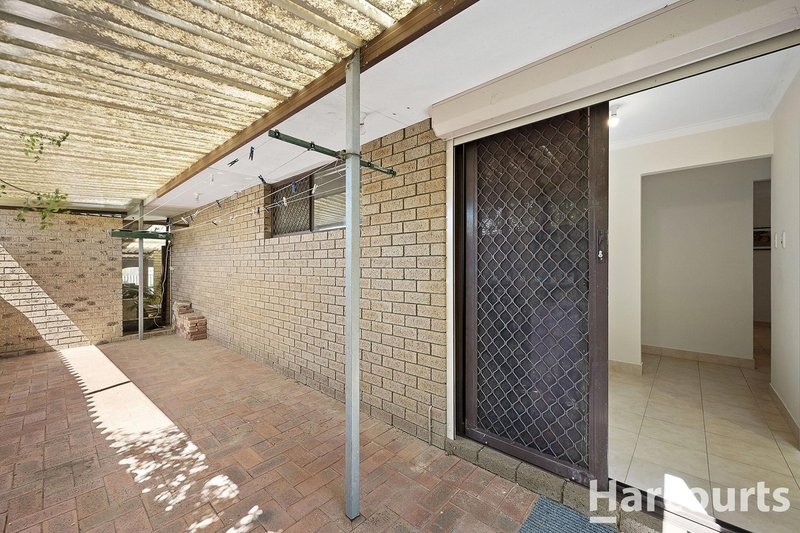 Photo - 6 Armata Walk, Mirrabooka WA 6061 - Image 33