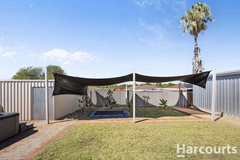 Photo - 6 Armata Walk, Mirrabooka WA 6061 - Image 34