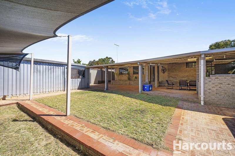 Photo - 6 Armata Walk, Mirrabooka WA 6061 - Image 35