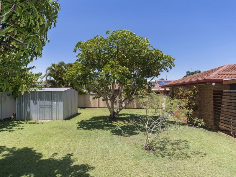 Photo - 6 Ballard Place, Coombabah QLD 4216 - Image 17