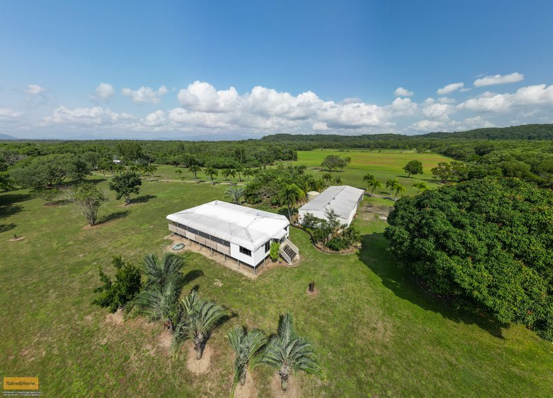 Photo - 6 Bambarook Road, Cowley Beach QLD 4871 - Image 11